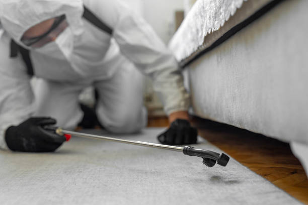 Professional Cockroach Control technician working in Greenwich, OH